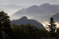 Pieniny