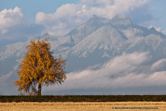 Tatry